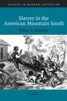 Slavery in the American Mountain South