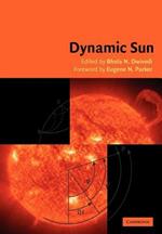 Dynamic Sun