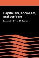 Capitalism, Socialism, and Serfdom: Essays by Evsey D. Domar