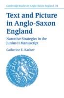 Text and Picture in Anglo-Saxon England: Narrative Strategies in the Junius 11 Manuscript