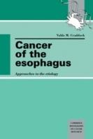 Cancer of the Esophagus: Approaches to the Etiology
