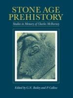 Stone Age Prehistory: Studies in Memory of Charles McBurney