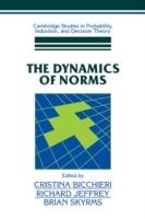 The Dynamics of Norms