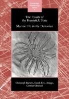 The Fossils of the Hunsruck Slate: Marine Life in the Devonian