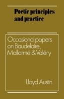 Poetic Principles and Practice: Occasional Papers on Baudelaire, Mallarme and Valery