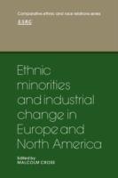 Ethnic Minorities and Industrial Change in Europe and North America