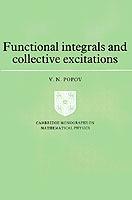 Functional Integrals and Collective Excitations