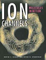 Ion Channels: Molecules in Action