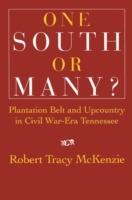 One South or Many?: Plantation Belt and Upcountry in Civil War-Era Tennessee