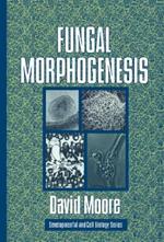 Fungal Morphogenesis