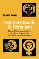 Separate Roads to Feminism: Black, Chicana, and White Feminist Movements in America's Second Wave