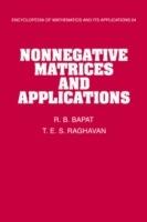 Nonnegative Matrices and Applications