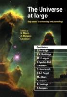 The Universe at Large: Key Issues in Astronomy and Cosmology