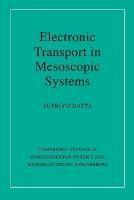 Electronic Transport in Mesoscopic Systems