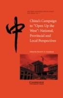 China's Campaign to 'Open up the West': National, Provincial and Local Perspectives