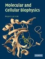 Molecular and Cellular Biophysics