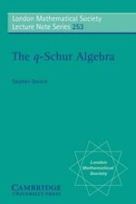 The q-Schur Algebra