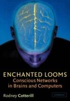 Enchanted Looms: Conscious Networks in Brains and Computers