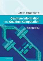 A Short Introduction to Quantum Information and Quantum Computation