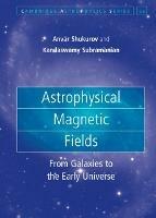 Astrophysical Magnetic Fields: From Galaxies to the Early Universe