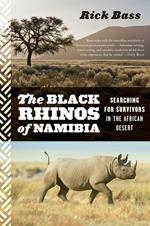 The Black Rhinos Of Namibia