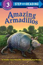 Amazing Armadillos