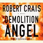 Demolition Angel