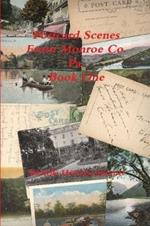 Post Card Scenes From Monroe Co. Pa. Book One