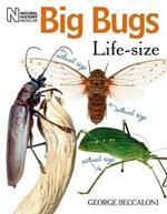 Big Bugs Life-Size