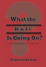 What the Hell is Going On?: A primer to understanding our world in the age of Trump