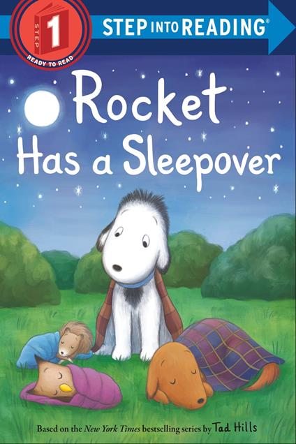 Rocket Has a Sleepover - Hills Tad - ebook