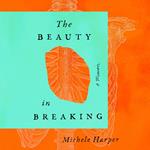 The Beauty in Breaking