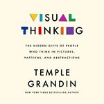 Visual Thinking