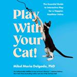 Play With Your Cat!