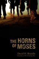 The Horns of Moses