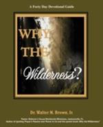 Why the Wilderness: A Forty Day Devotional Guide