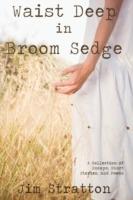 Waist Deep in Broom Sedge: A Collection of Essays, Short Stories, and Poems