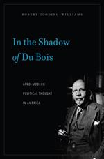 In the Shadow of Du Bois