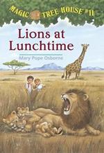 Lions at Lunchtime