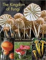 The Kingdom of Fungi