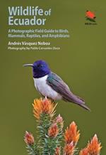 Wildlife of Ecuador: A Photographic Field Guide to Birds, Mammals, Reptiles, and Amphibians