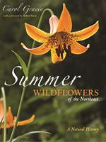 Summer Wildflowers of the Northeast