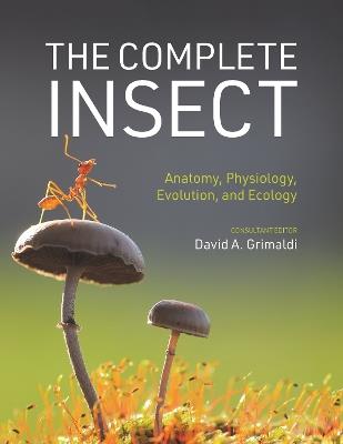 The Complete Insect: Anatomy, Physiology, Evolution, and Ecology - cover