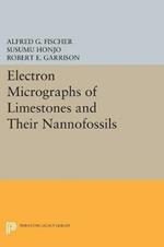 Electron Micrographs of Limestones and Their Nannofossils