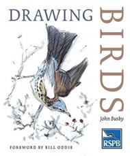 Drawing Birds