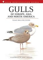 Gulls of Europe, Asia and North America