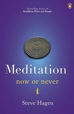 Meditation Now or Never