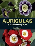 Auriculas: An Essential Guide