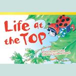 Life at the Top Audiobook