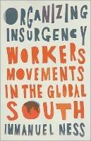 Organizing Insurgency: Workers' Movements in the Global South